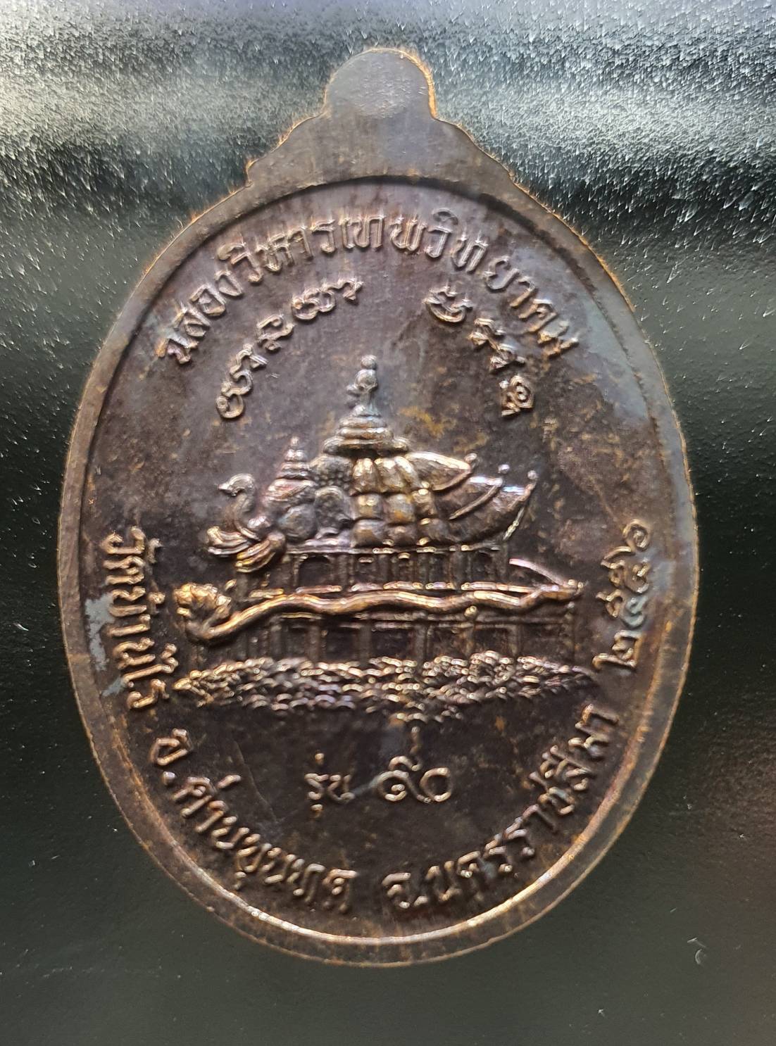 ด้านหลัง