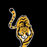 สนามฟุตบอลหญ้าเทียม TIGER Soccer