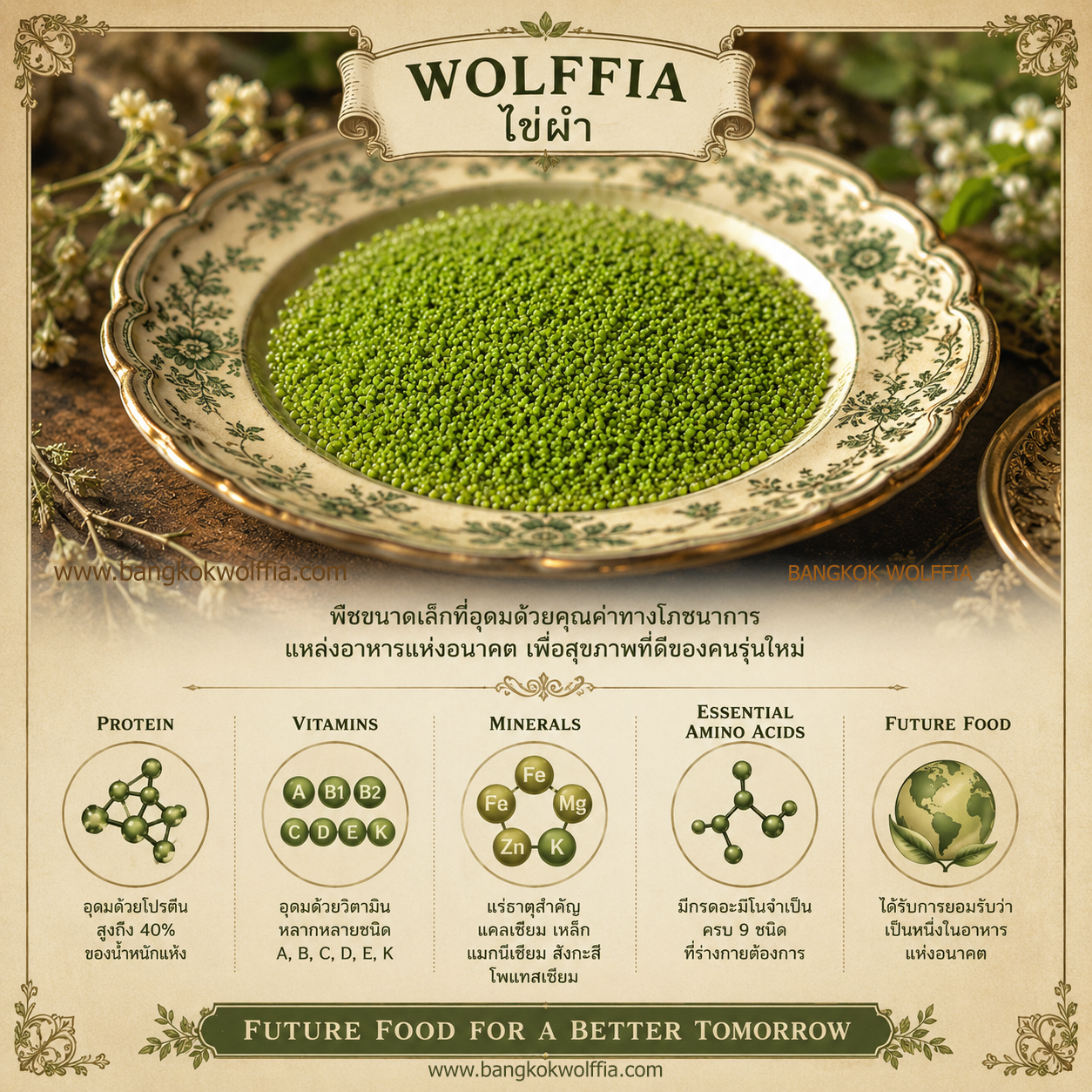 Wolffia ไข่ผำ